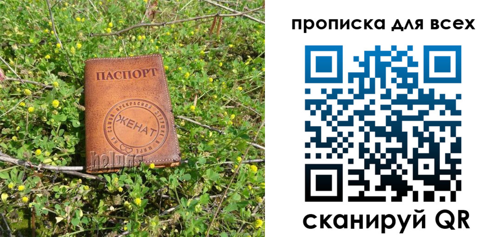 прописка поиск в Барыше